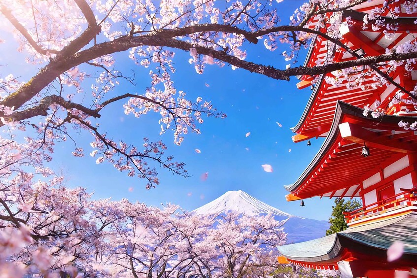 Picture 21 for Activity Mt. Fuji, Hakone & Arakura Pagoda Day Tour from Tokyo 2