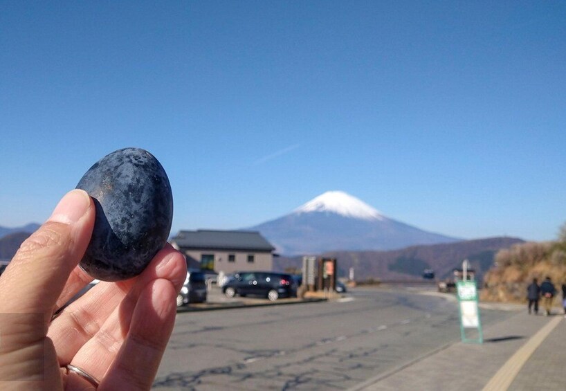Picture 3 for Activity Mt. Fuji, Hakone & Arakura Pagoda Day Tour from Tokyo 3