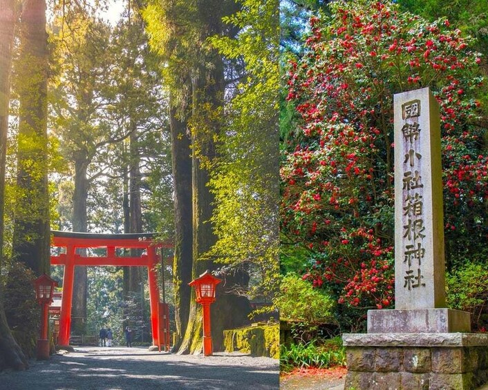 Picture 2 for Activity Mt. Fuji, Hakone & Arakura Pagoda Day Tour from Tokyo 4