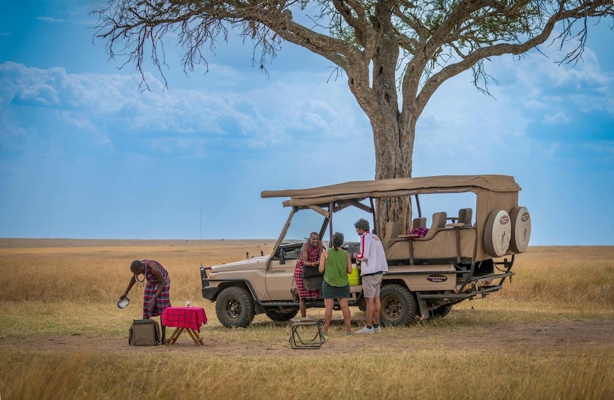 Picture 7 for Activity Zanzibar: Fly to Nyerere National Park – 2-Day Safari 5