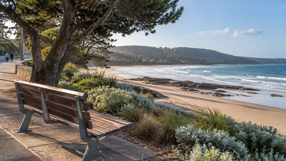 Picture 7 for Activity Melbourne: Great Ocean Road's Hidden Gems & 12 Apostles 3