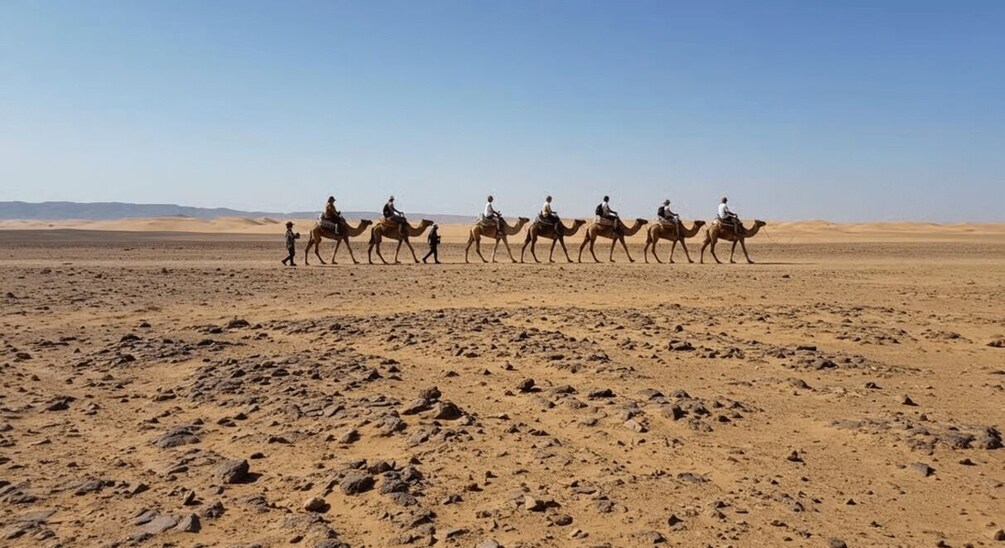 Picture 6 for Activity Marrakech: Agafay Desert Sunset & Camel Ride and Dinner Show 5