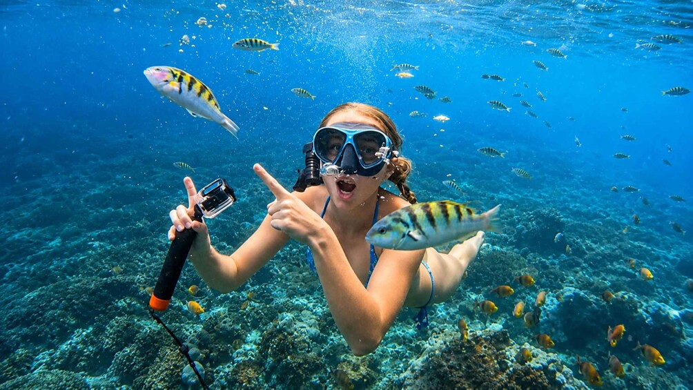 A person snorkeling underwater with fish around. 5