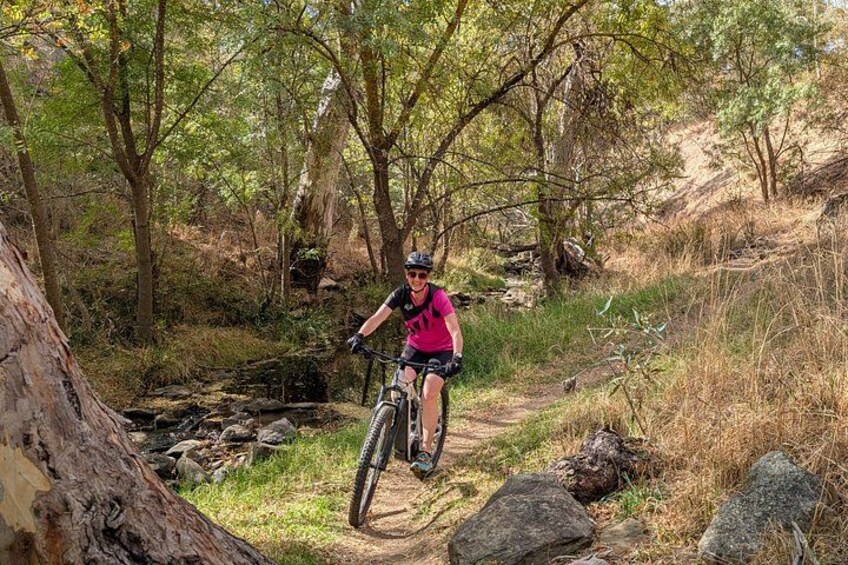 A mountain biker on a trail surrounded by trees and rocks. 2