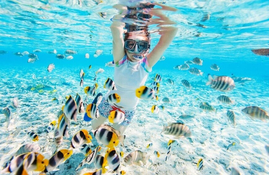 Una persona practica snorkel bajo el agua rodeada de peces tropicales. 4