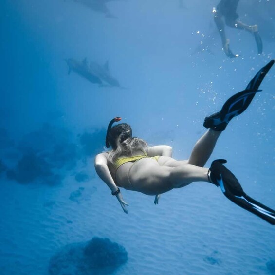 Picture 1 for Activity Mnemba Island: Dolphin Swim & Snorkeling Guided Tour 5