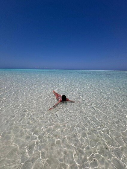 Picture 17 for Activity Mnemba Island: Dolphin Swim & Snorkeling Guided Tour 4