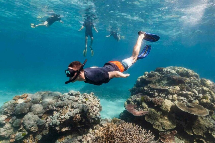 Un buceador nada bajo el agua entre formaciones de coral y otros buceadores al fondo. 3