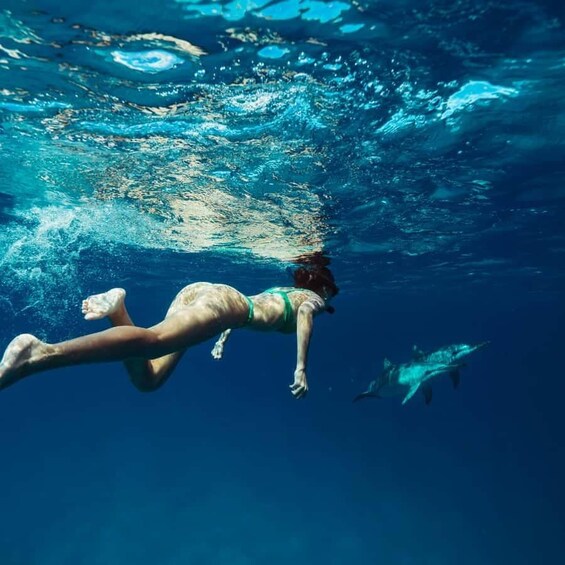 Picture 2 for Activity Mnemba Island: Dolphin Swim & Snorkeling Guided Tour 3
