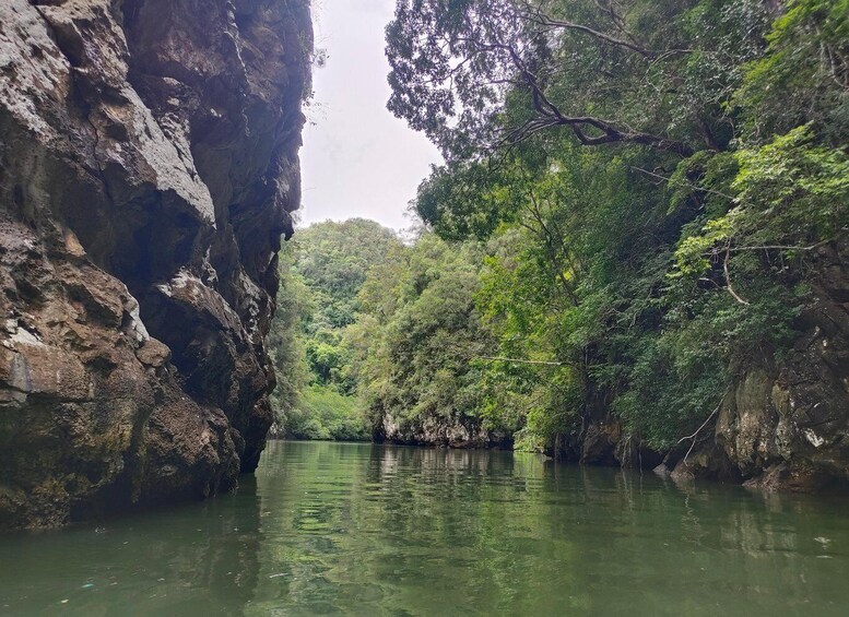 A river flowing through a rocky gorge with dense foliage on either side. 2