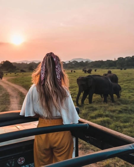 A person in a white top and mustard pants, standing on a bridge with a sunset in the background and elephants in the field. 1