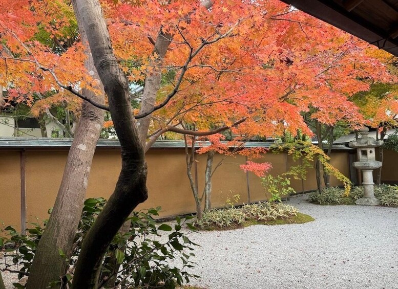 Picture 11 for Activity Kamakura Personalized Half-Day Tour with Local Specialist 2
