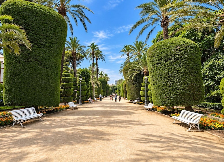 A well-maintained garden with neatly trimmed hedges, palm trees, and benches along a pathway. 1