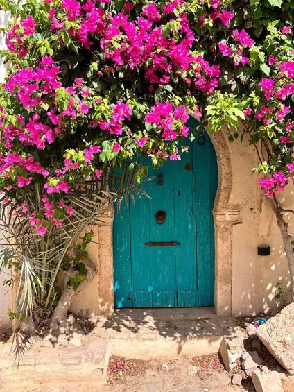 Picture 1 for Activity Djerba Express: The Highlights of the Island in a Half-Day 3