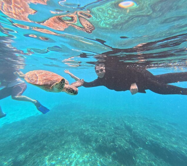 A person swimming with a sea turtle in clear blue water. 2