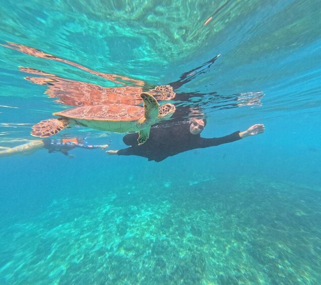 A person swimming with a sea turtle in clear blue water. 5