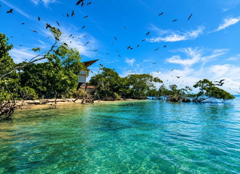 Picture 3 for Activity Cartagena: Rosario Islands Excursion with Snorkeling and Playa Blanca in Barú 2