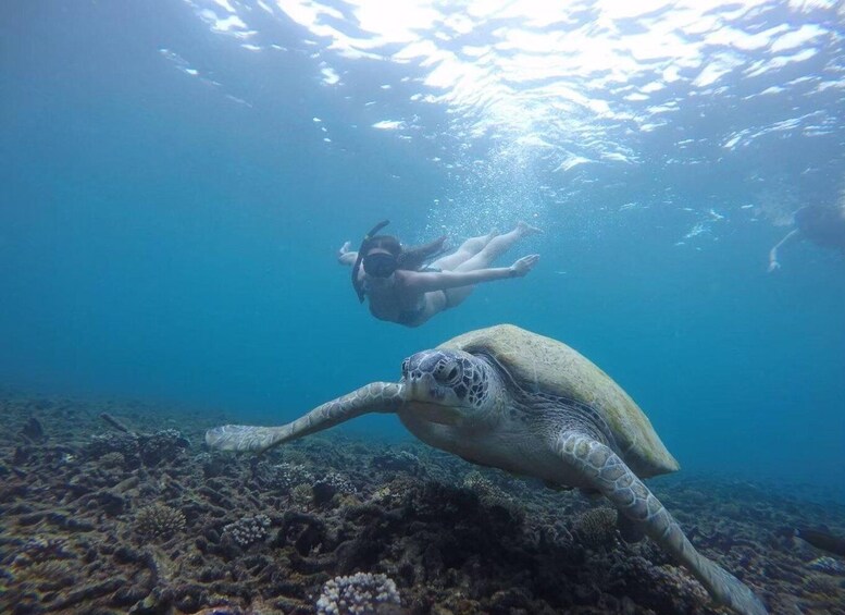 Koh Samui: Koh Tao & Koh Nang Yuan Snorkel Trip with Lunch 1