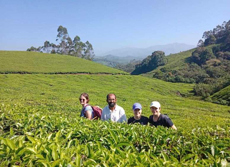 A group of people standing in a tea plantation with rolling hills and trees in the background. 5