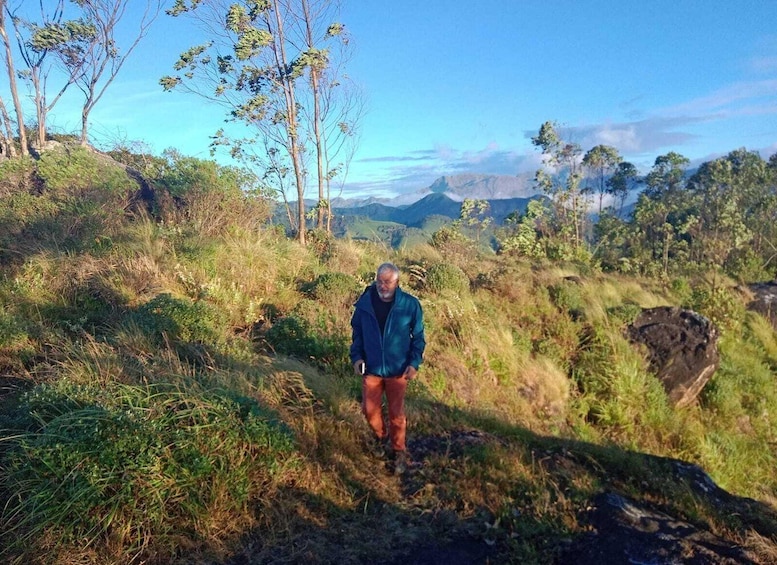 A person hiking on a trail surrounded by grass, trees, and mountains. 2