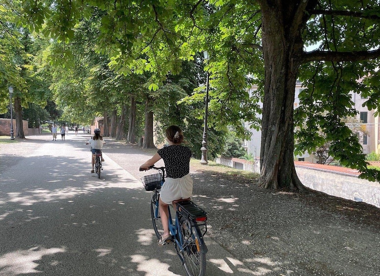 Picture 2 for Activity Lucca: join a city bike tour 4
