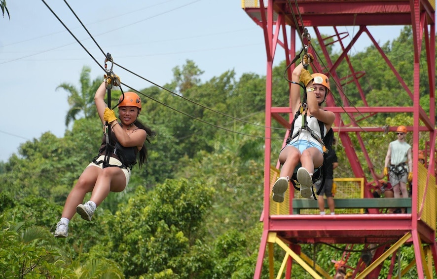 Río Grande: Rainforest Zipline Experience 1