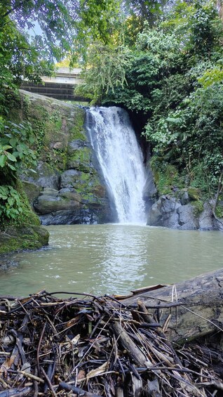 Picture 19 for Activity Bri-Bri Indigenous Chocolate Tour + Waterfall 2
