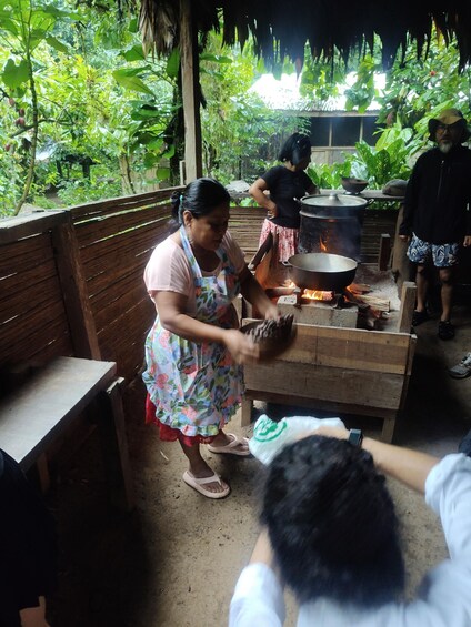 Picture 16 for Activity Bri-Bri Indigenous Chocolate Tour + Waterfall 4