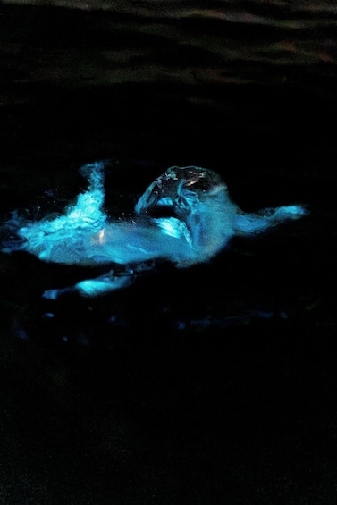 A person submerged in water with a blue light effect. 1
