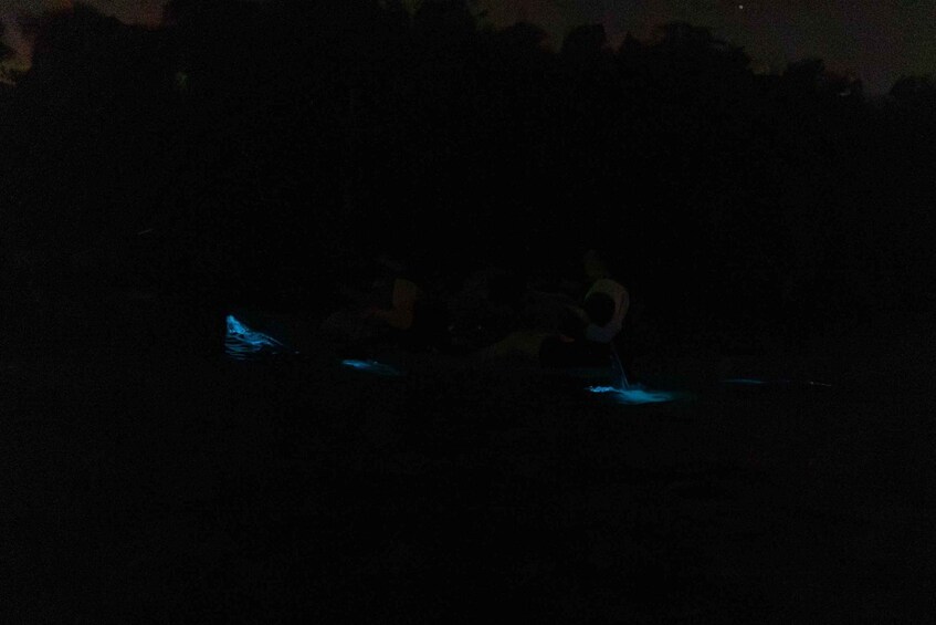 Picture 6 for Activity Cocoa Beach/Merritt Island:Bioluminescent kayak tour 3