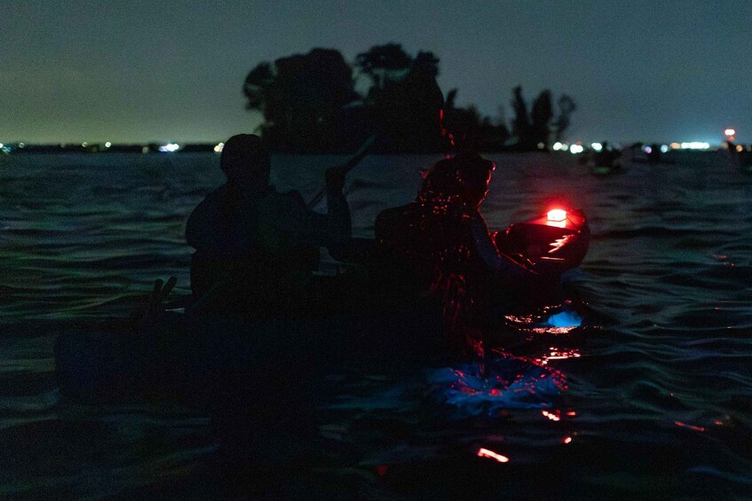 Cocoa Beach/Merritt Island:Bioluminescent kayak tour 1