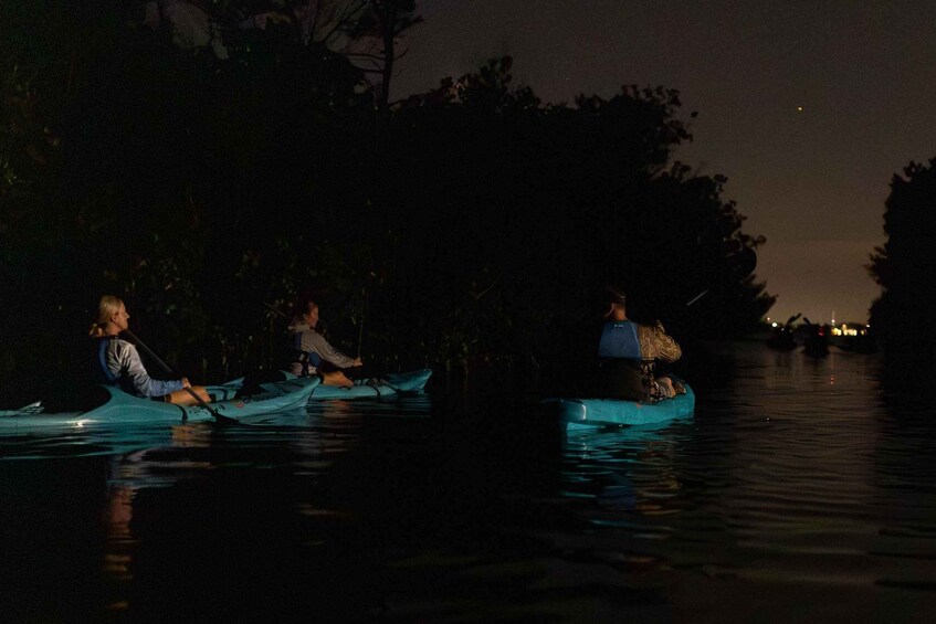 Picture 3 for Activity Cocoa Beach/Merritt Island:Bioluminescent kayak tour 4