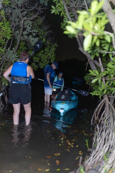 Picture 24 for Activity Cocoa Beach/Merritt Island:Bioluminescent kayak tour 5