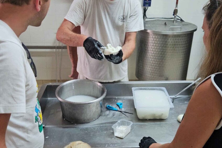 Picture 4 for Activity Gioia del Colle: Mozzarella & Burrata Making Experience 5