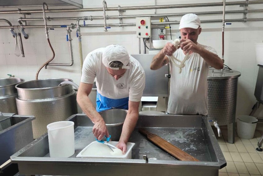 Picture 3 for Activity Gioia del Colle: Mozzarella & Burrata Making Experience 4