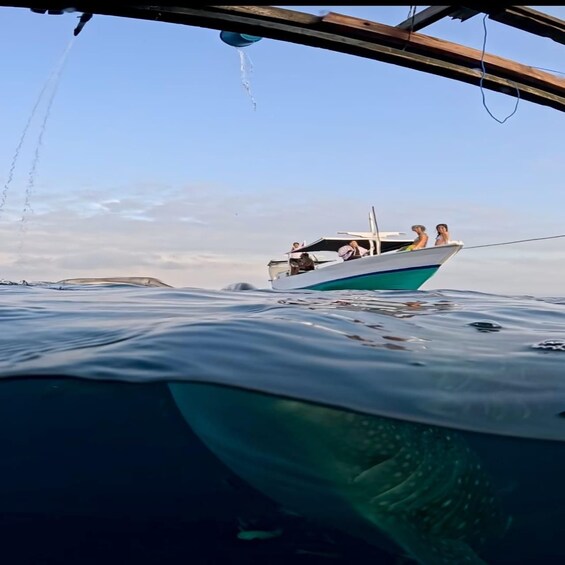 A boat with people on it, floating on calm water. 3
