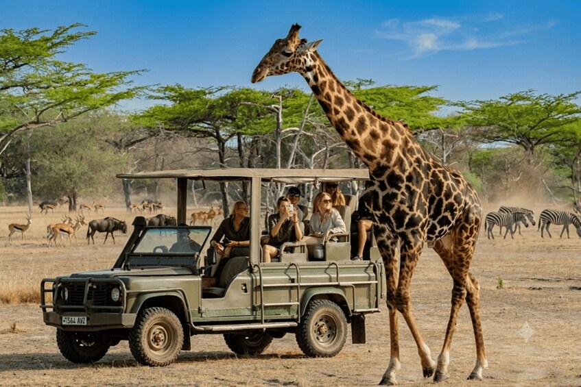 A safari vehicle with passengers, a giraffe, and zebras in a savannah landscape. 2