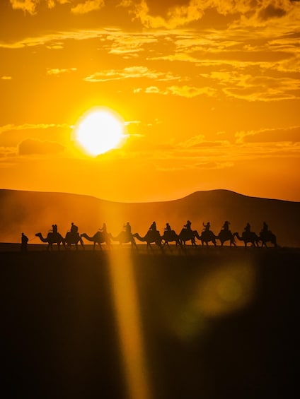 Marrakech: Agafay Camel Ride, Dinner Show & Desert Escape 1