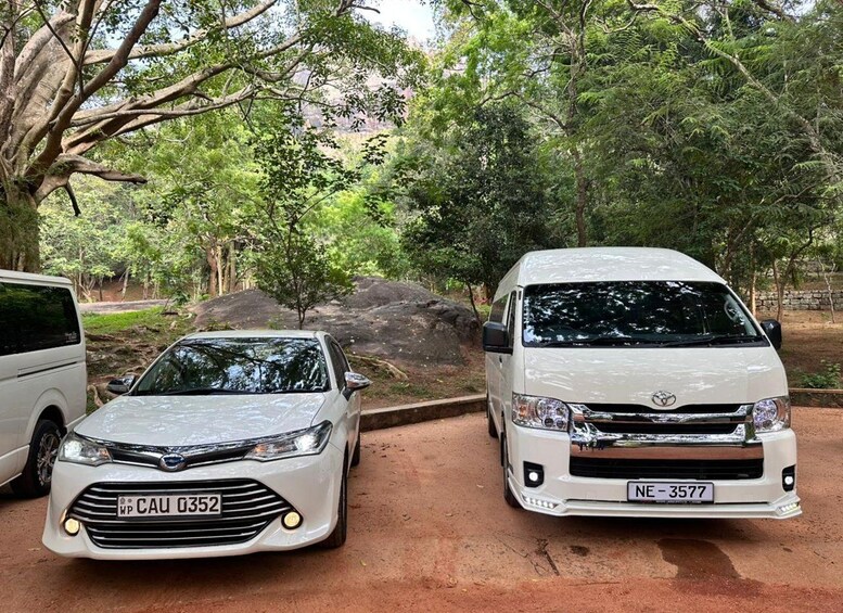 Picture 10 for Activity From Colombo: Sigiriya & Dambulla Day Tour with Safari 5