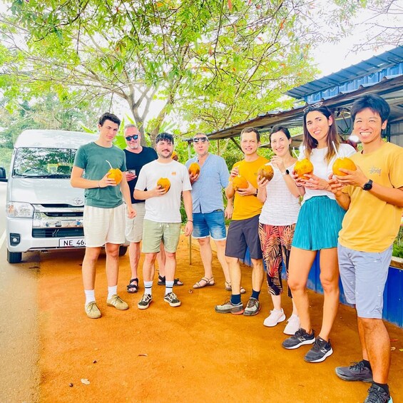 Picture 13 for Activity From Colombo: Sigiriya & Dambulla Day Tour with Safari 3