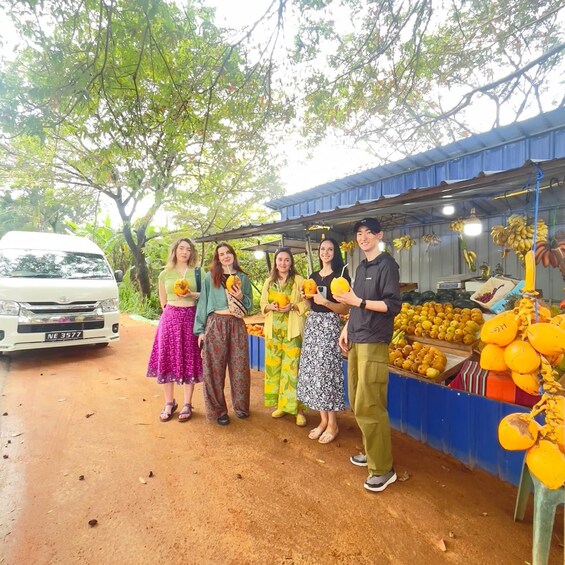 Picture 12 for Activity From Colombo: Sigiriya & Dambulla Day Tour with Safari 4