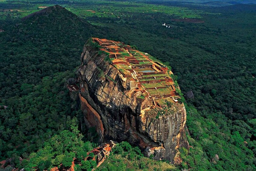 From Colombo: Sigiriya & Dambulla Day Tour with Safari 1