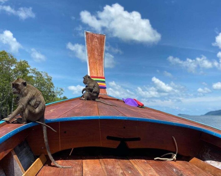Two monkeys on a wooden boat with a rainbow flag. 3