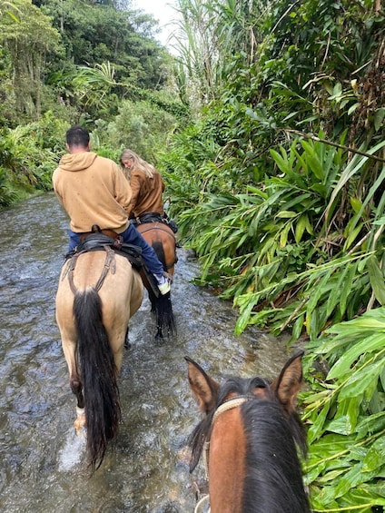 Horseback Riding & Tejo in Salento 3