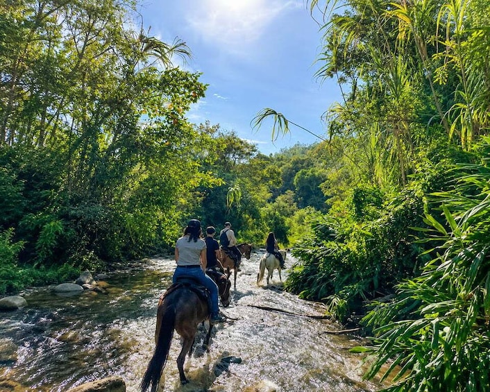 Horseback Riding & Tejo in Salento 1