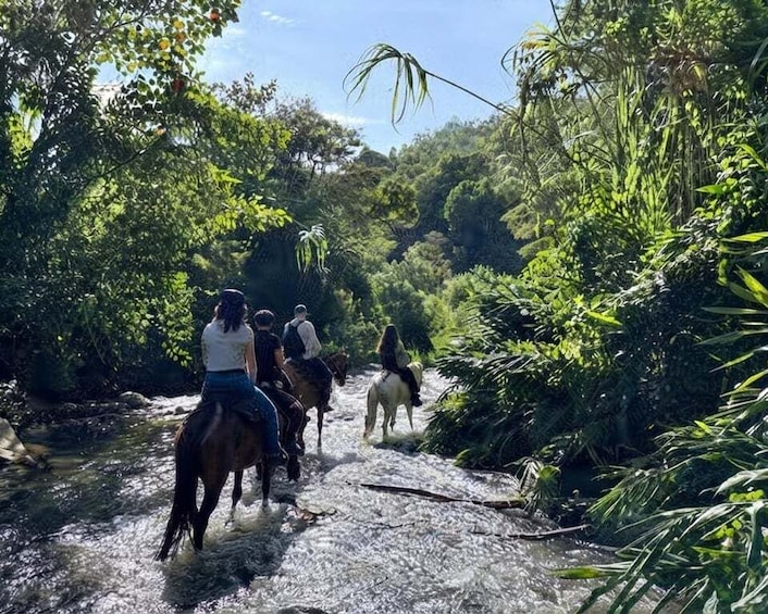 Horseback Riding & Tejo in Salento 1