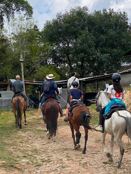 Picture 2 for Activity Horseback Riding & Tejo in Salento 2