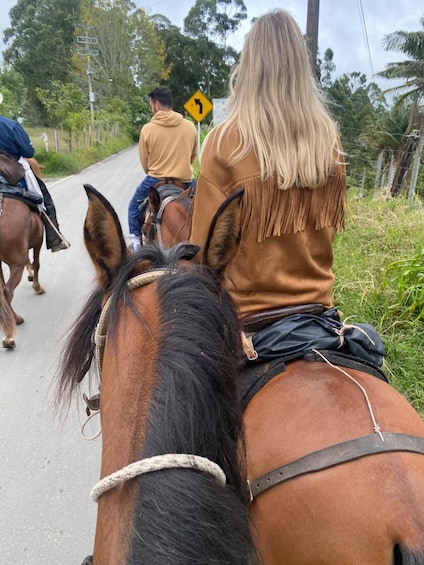 Picture 13 for Activity Horseback Riding & Tejo in Salento 5