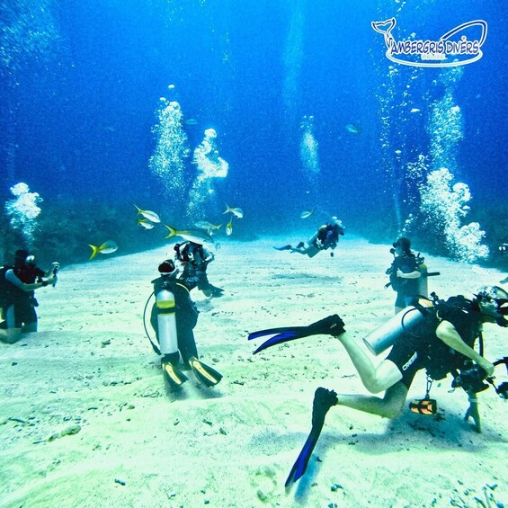 Divers underwater with fish swimming around. 1