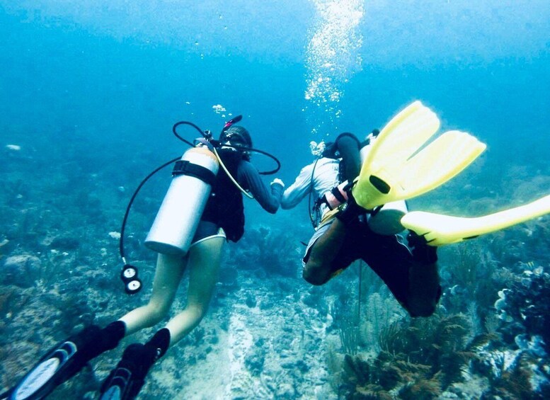 Two scuba divers underwater with fins and tanks. 3
